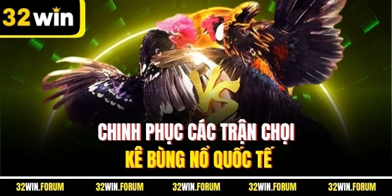 Chinh phục các trận chọi kê bùng nổ quốc tế