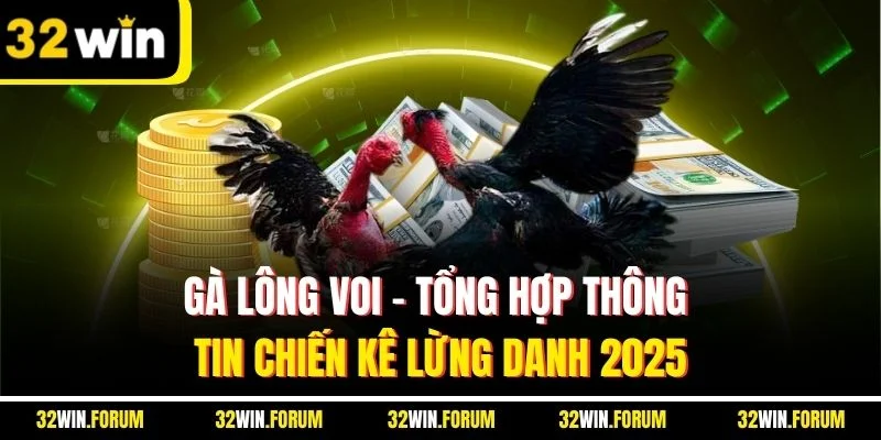 Gà Lông Voi | Tổng Hợp Thông Tin Chiến Kê Lừng Danh 2025