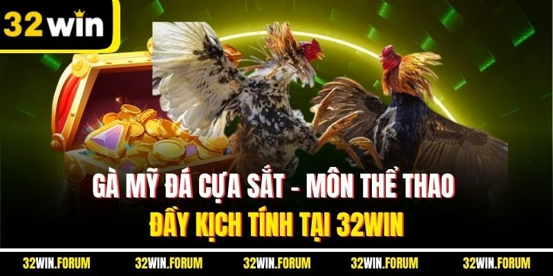 Gà Mỹ Đá Cựa Sắt | Môn Thể Thao Đầy Kịch Tính Tại 32win