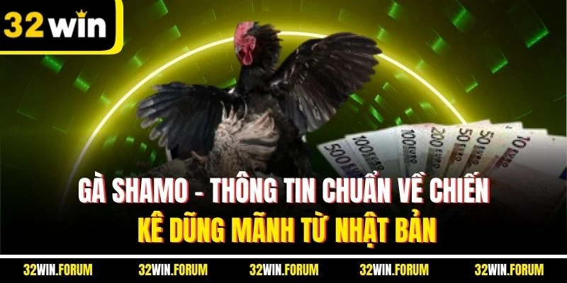 Gà Shamo - Thông Tin Chuẩn Về Chiến Kê Dũng Mãnh Từ Nhật Bản