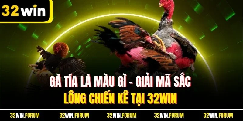 Gà Tía Là Màu Gì - Giải Mã Sắc Lông Chiến Kê Tại 32Win 