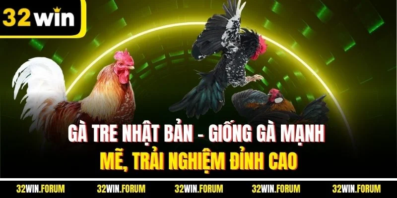 Gà tre Nhật Bản - Giống gà mạnh mẽ, trải nghiệm đỉnh cao