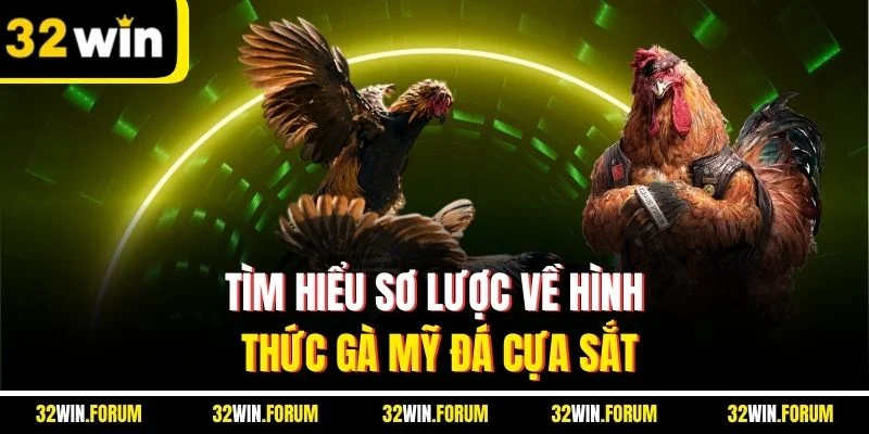 Tìm hiểu sơ lược về hình thức gà Mỹ đá cựa sắt