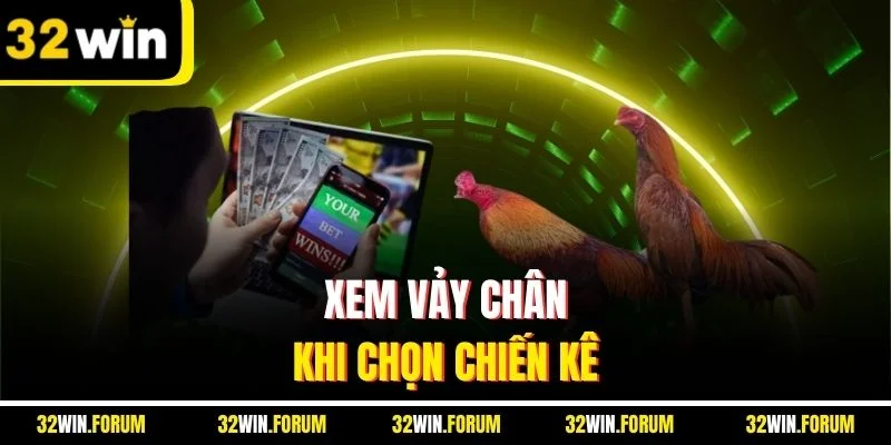 Xem vảy chân khi chọn chiến kê